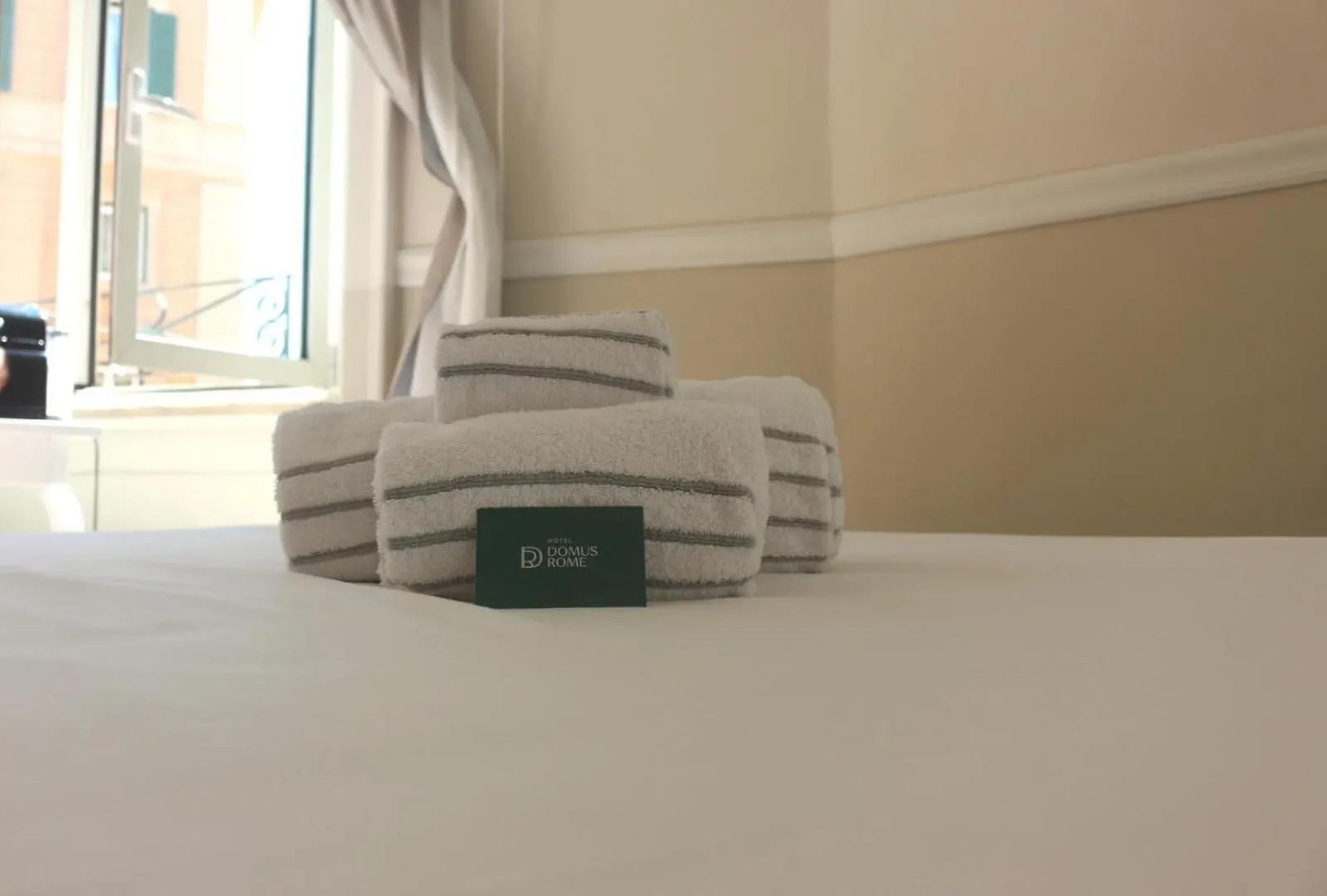 Hotel Domus Rome 0*,  Italië